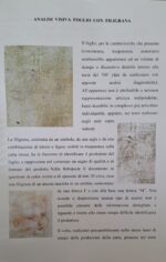 SANGUINA VOLTO DI FANCIULLO - immagine 2