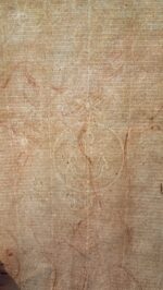 SANGUINA ANGELI - immagine 5