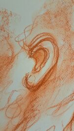 Sanguigna su cartoncino - immagine 11