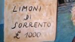 Limoni di Sorrento - immagine 21