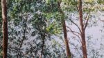 Paesaggio - immagine 6