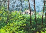 Paesaggio - immagine 2