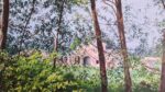 Paesaggio - immagine 7