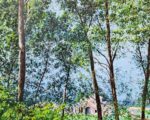 Paesaggio - immagine 4