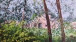 Paesaggio - immagine 12