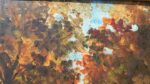 Paesaggio - immagine 16