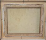 Composizione di pesci - immagine 23