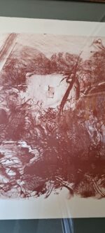 Pietro Annigoni - immagine 16