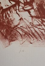 Pietro Annigoni - immagine 28