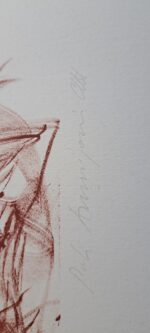 Pietro Annigoni - immagine 29