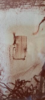 Pietro Annigoni - immagine 30